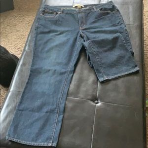 Vintage Venezia Jeans Plus Size